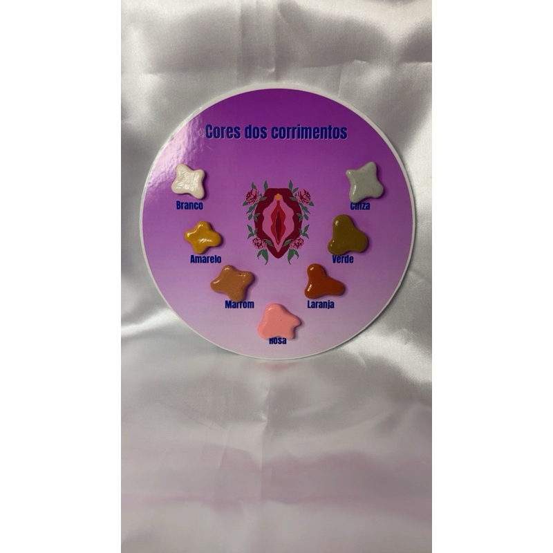Macromodelo - simulador de saúde da mulher