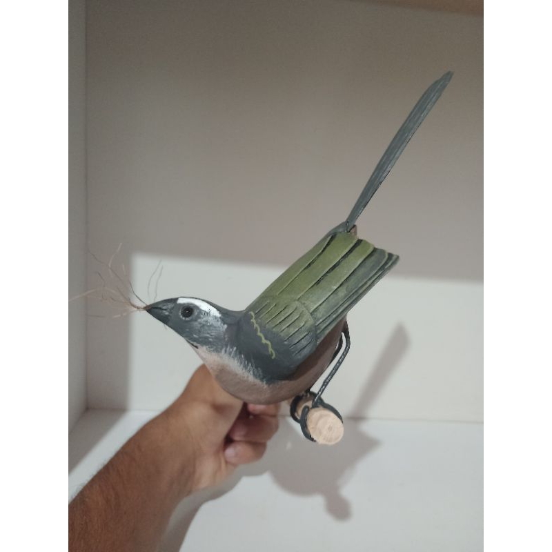 Femea de Trinca Ferro: Onde Comprar | BuscaProdutos