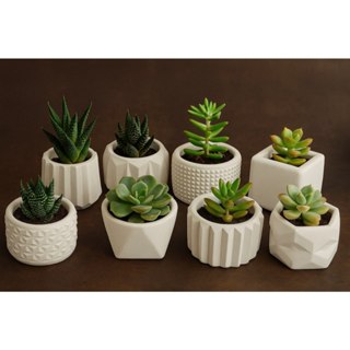 Kit até 8 Vasinhos Decorativos  para Plantas Artificiais em Oferta na Shopee