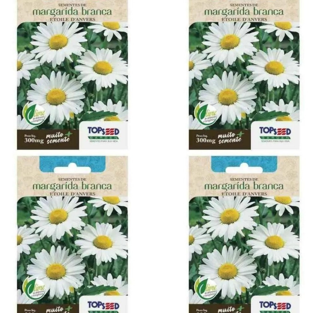 4X Sementes Margarida Branca Etoile D Anvers 300mg Topseed Flores Jardins Vasos