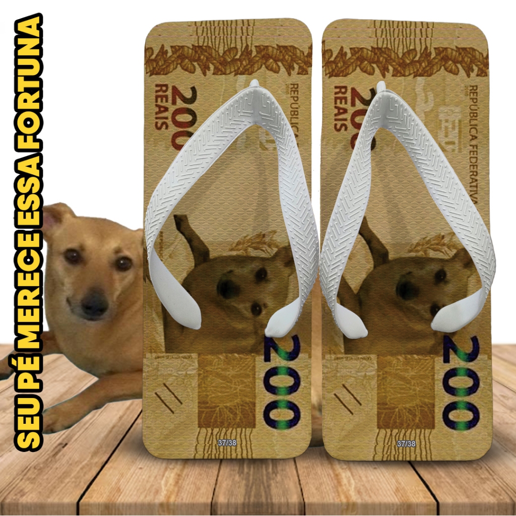 Chinelo Quadrado Masculino Nota de 200 com Cachorro Caramelo – Estilo Milionário Memético Sandália
