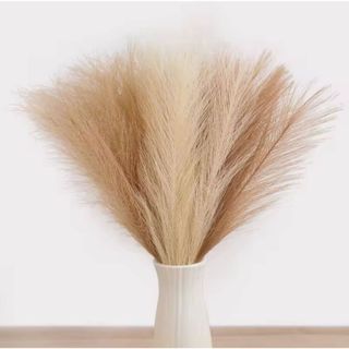Kit Hastes Capim Do Pampas Plumas Artificial Galhos 55cm em Oferta na Shopee
