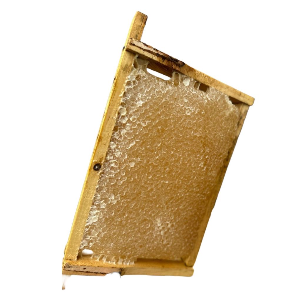 Favo de Mel Artesanal Puro Natural Direto da Colmeia 500g