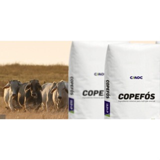 Fosfato Bicálcico 19,5%  p/ Aves, Suínos e Bovinos em Oferta na Shopee