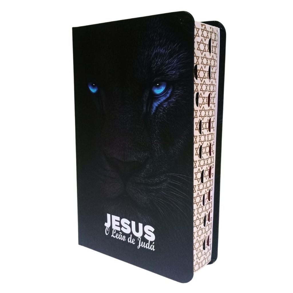 Bíblia Letra Gigante com Harpa Almeida: Onde Comprar | BuscaProdutos