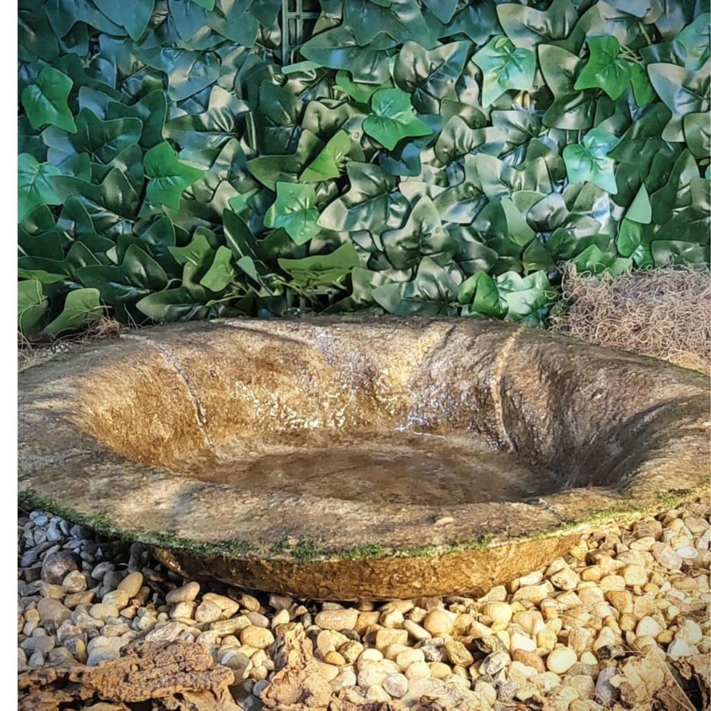 Bacia para Fonte de Água: Onde Comprar | BuscaProdutos