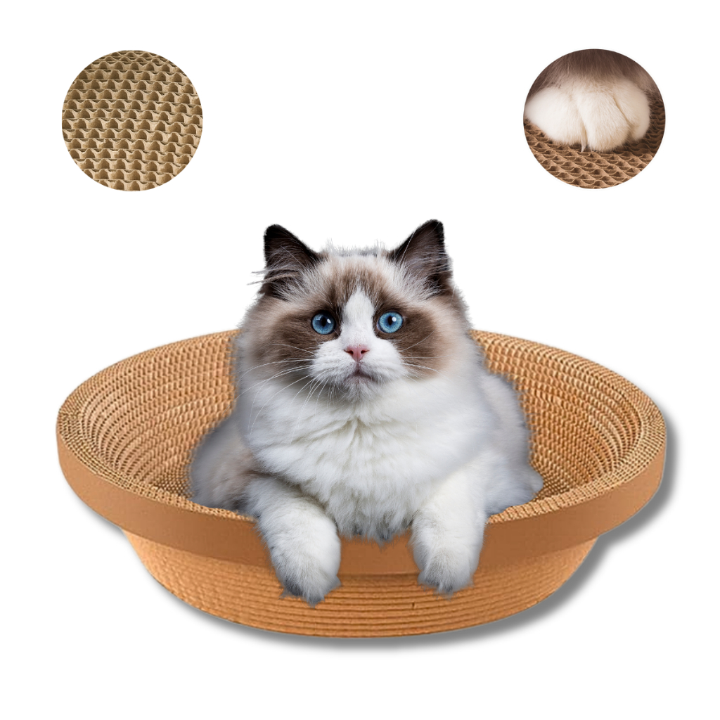 Arranhador Gatos Papelão: Onde Comprar | BuscaProdutos