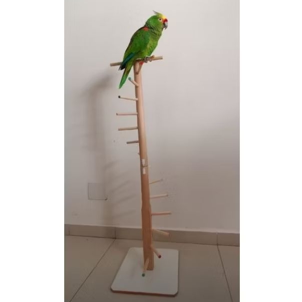 Playground e Parquinho de Madeira com Poleiros para Pássaros e Papagaios