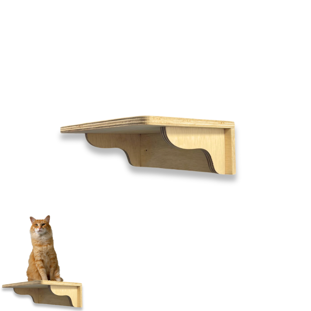 Brinquedos para Playground Externo: Onde Comprar | BuscaProdutos