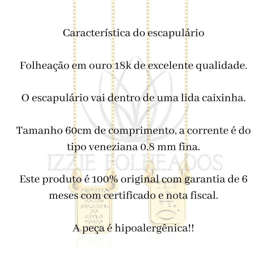Escapulário Masculino  Dourado Folheado De Ouro 18k Semijoia Original Izzie Folheados