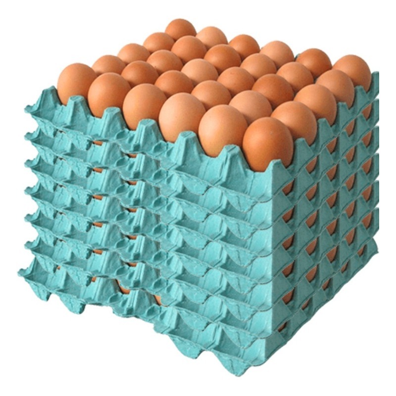 Bandejas / Cartelas Para 30 Ovos Granja Comércio Oferta Pedido Maximo 300 Bandeijas