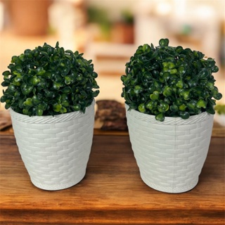 2 Planta Buchinho  Verde Bola Artificial + 2 Vaso de Ratan Branco  a Pronta Entrega em Oferta na Shopee