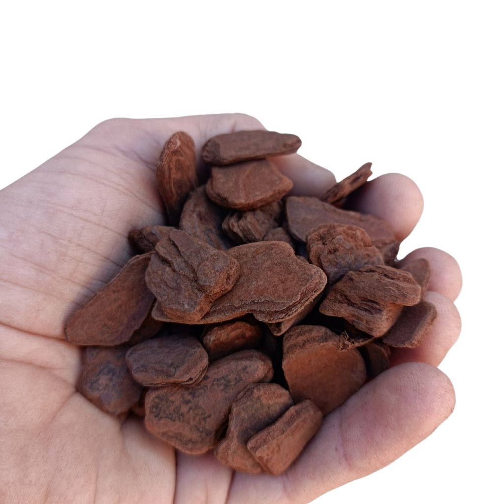 Casca De Pinus Polida Pp Decoração De Vasos De Planta 10 LCasca De Pinus Polida Pp Decoração De Vasos De Planta 10 L Cas em Oferta na Shopee