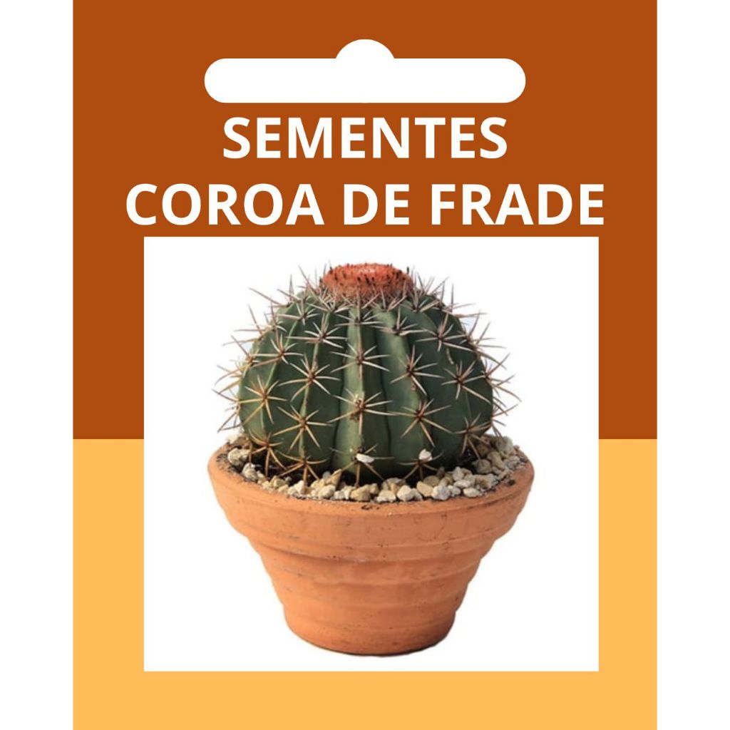 40 sementes cacto coroa de frade