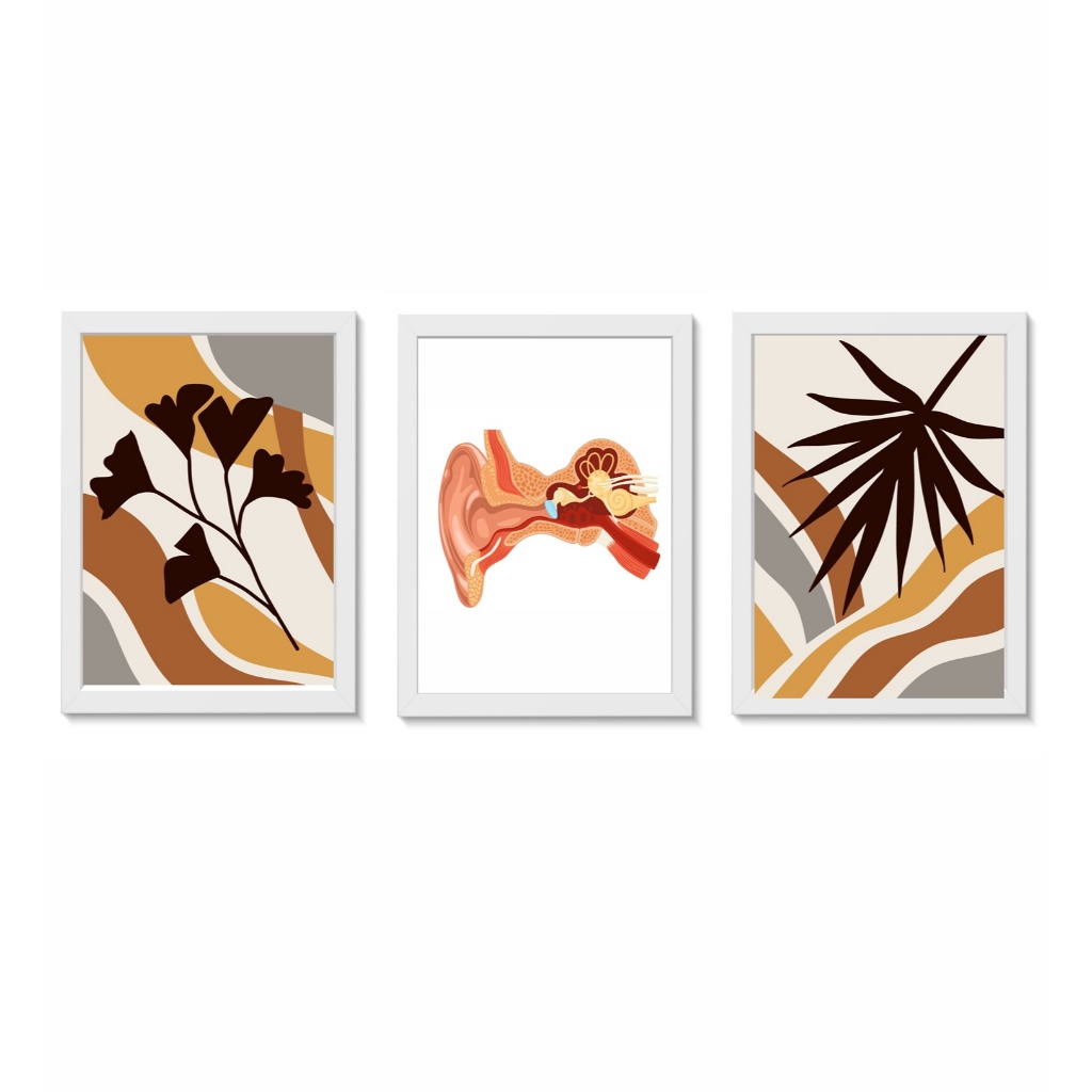 Kit 3 Quadros Decorativos Ouvido Decoração Consultório Médico Otorrinolaringologia Molduras 20x30cm Madeira