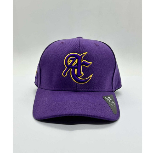 Boné AC Anth Co. Roxo  Premium Caps Snapback Sarja Peletizada
