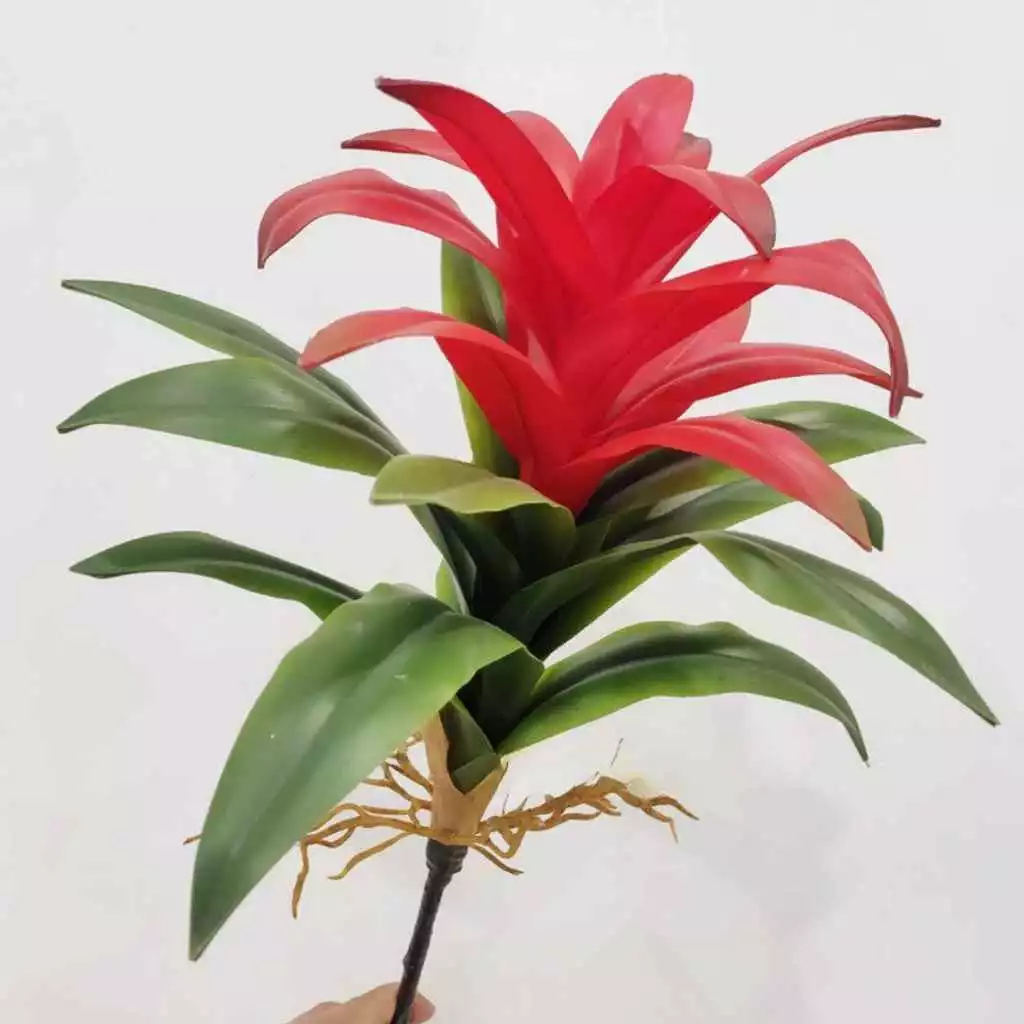 Bromelia Artificial: Onde Comprar | BuscaProdutos