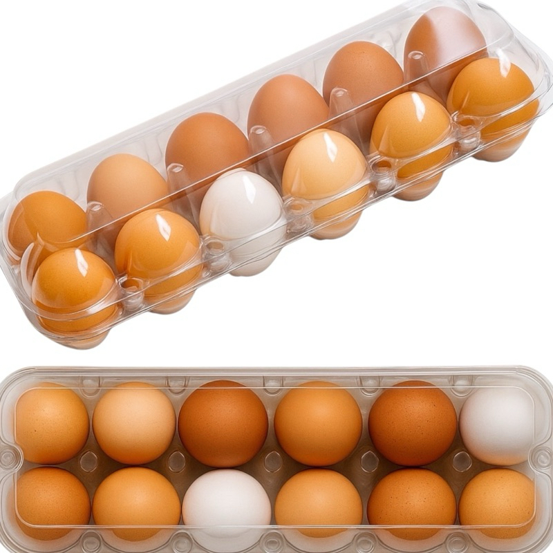 Embalagem para 12 ovos de galinha pacote 40 e 80 unidades