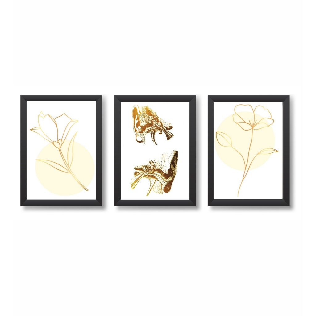 Kit 3 Quadros Decorativos Ouvido Decoração Consultório Médico Otorrinolaringologia Moldura 20x30cm   Madeira