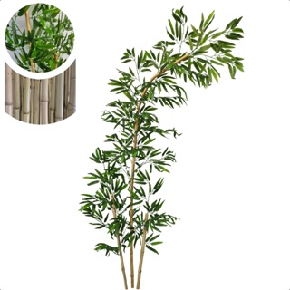 Bambu Artificial Curvado Galho Natural Curvo Sem Vaso Decoração em Oferta na Shopee