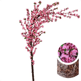Cerejeira Artificial Curva Rosa 180cm Grande Sem Vaso Decoração em Oferta na Shopee