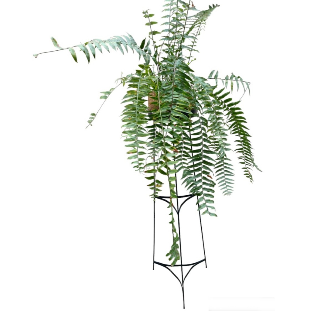 Floreira Rústica Tripé Em Ferro 3 Andares Suporte Vaso Plantas Jardineira