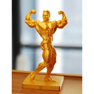 Troféu Fisiculturista Dourado • Decoração Premium • Força & Performance - 20cm
