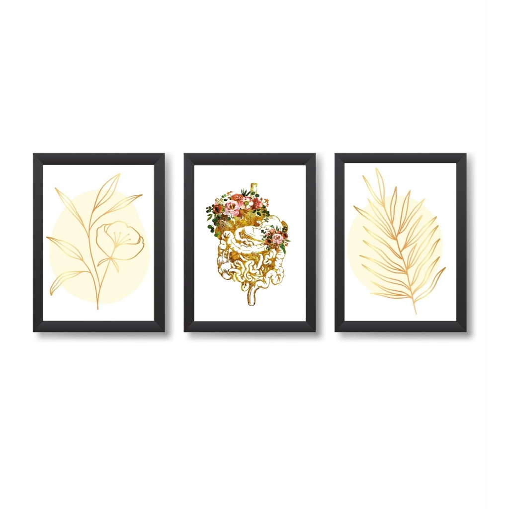 Kit 3 Quadros Decorativos Sistema Digestivo Decoração Consultório Médico Gastroenterologia Molduras 20x30cm Madeira