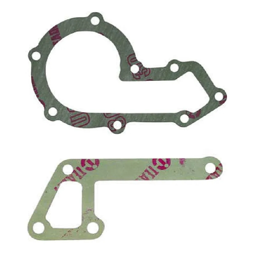Kit Junta Bomba D'agua F1000 Ranger Blazer S10 Defender Sprinter Motor Maxion HS