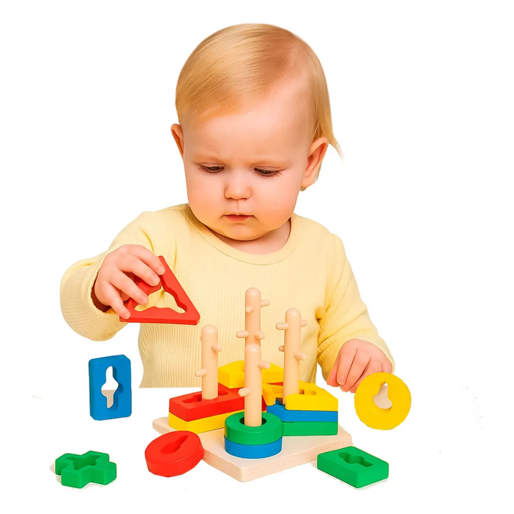 Brinquedo Educativo Pedagógico Formas Encaixe Montessoriano Super Oferta