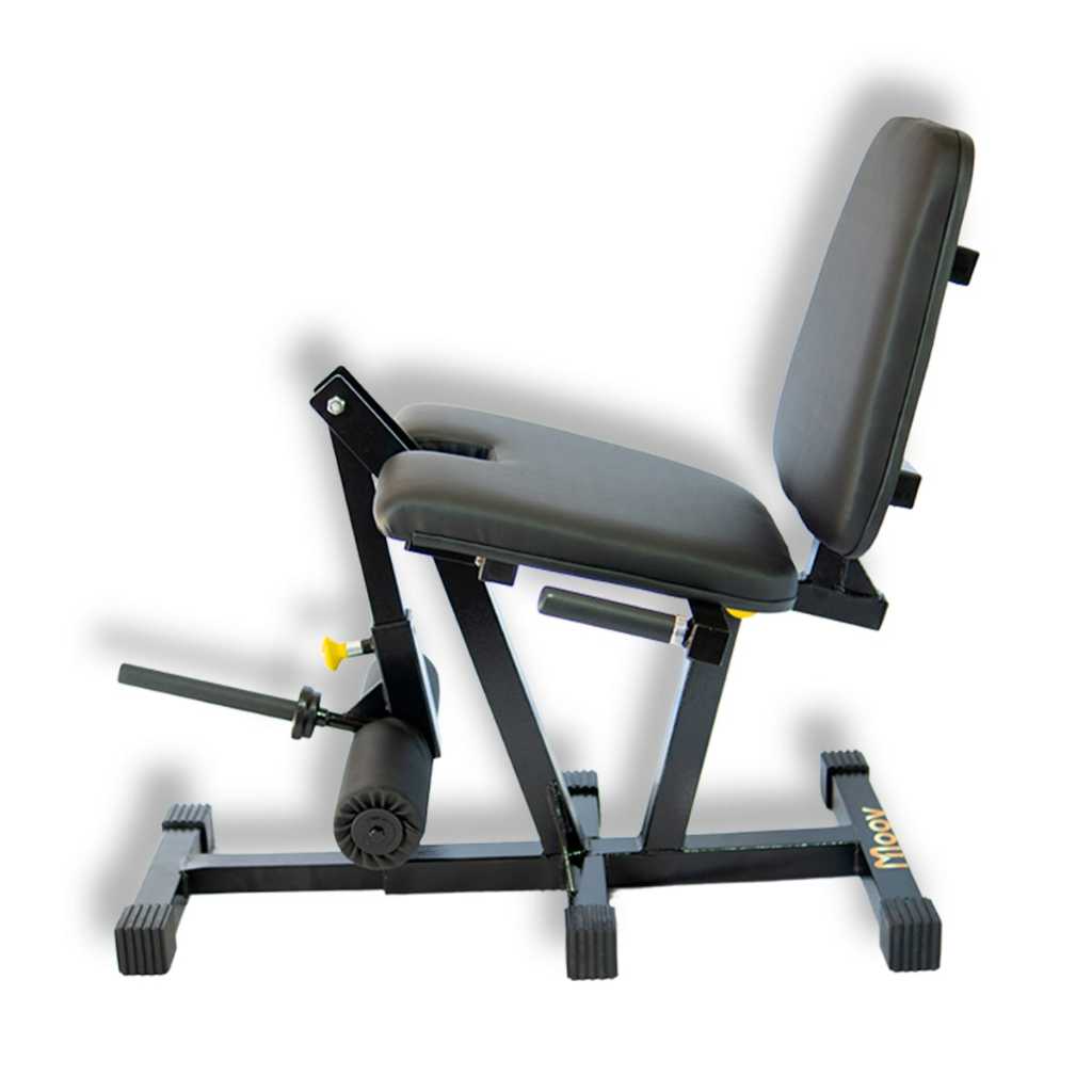 Cadeira Extensora Com Suporte Para Anilhas Funcional Treino Quadríceps Academia