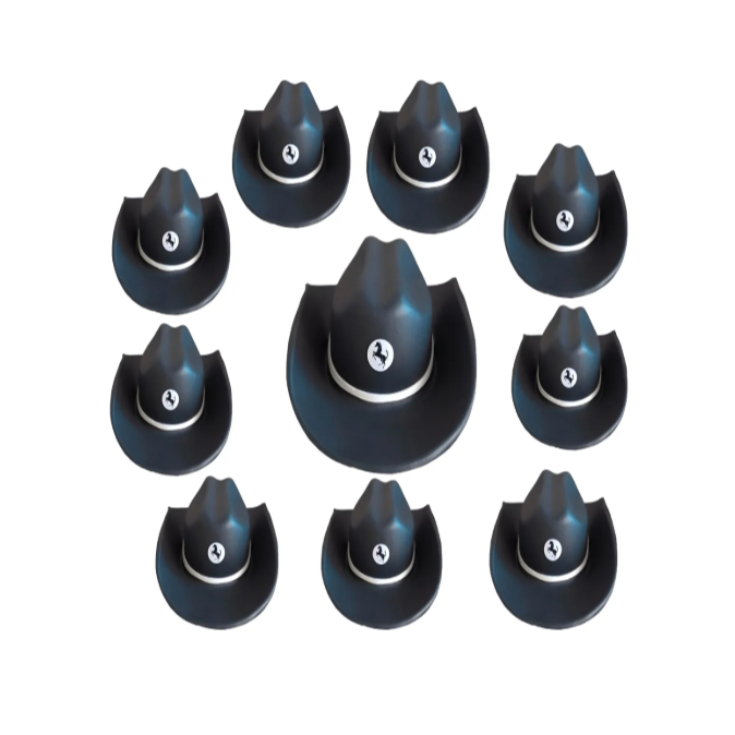 10 Chapéus Cowboy Country Eva Festa Peão Rodeio Festa Junina