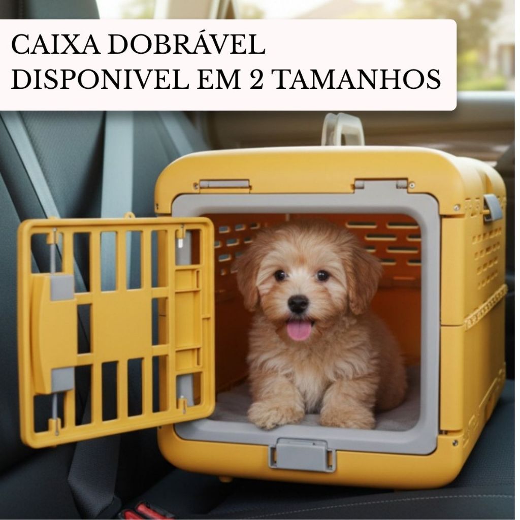 Caixa Transportadora de Cachorro: Onde Comprar | BuscaProdutos