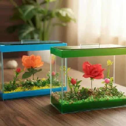 Aquário Retangular de Vidro Decorado 20x10x15cm Beteira Plantas Para Peixes