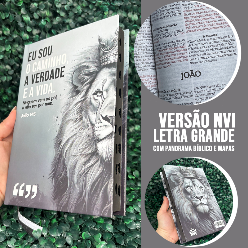 Bíblia Sagrada Versão Nvi Letra Grande Leão Masculina Evangélica Capa Dura e Índice Hdc em Oferta na Shopee