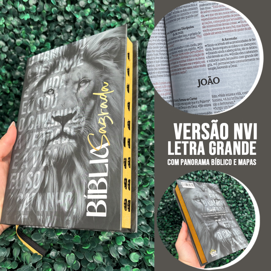 O que é Bíblia Dourada Grande? Guia e Onde Comprar | BuscaProdutos