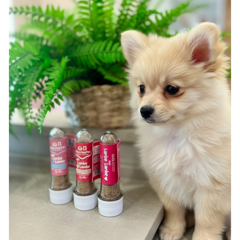 Mini Lambe Lambe Saborizante Sabores: Suíno, Bovino ou Frango - Alecrim Pet Petisco para Cachorro em Oferta na Shopee