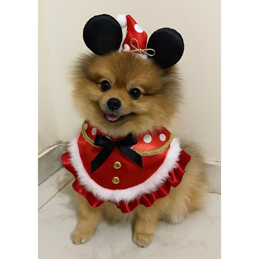 Bandana + acessório para cabeça Minnie Natal natalino acessório pet para cachorro e gato pet fantasia