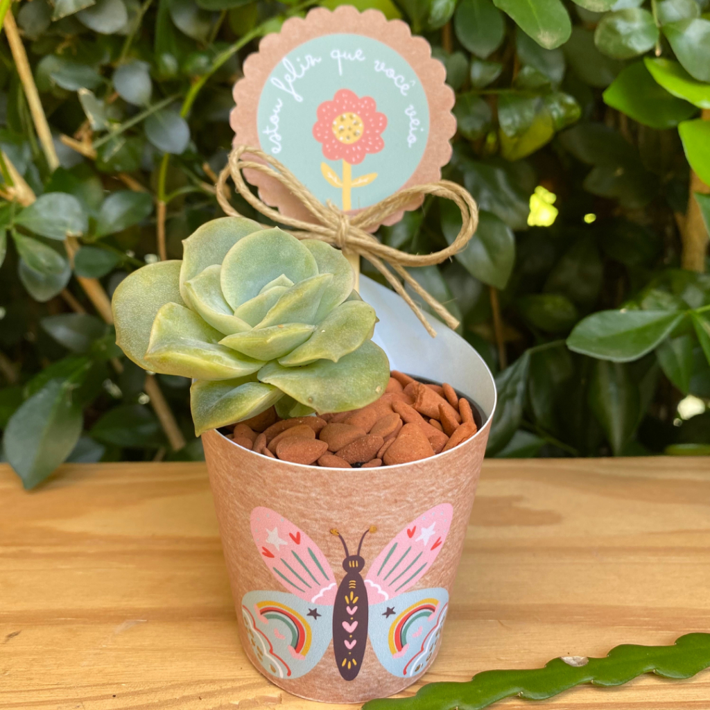 Rótulos Personalizados para lembrancinhas com suculentas - Aniversário Infantil BOHO - Chá de Bebê - Chá revelação