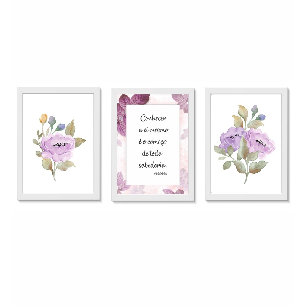 Quadros Decorativos Psicologia Psicanálise Décor Consultório Clínica Molduras Madeira 3 Perças