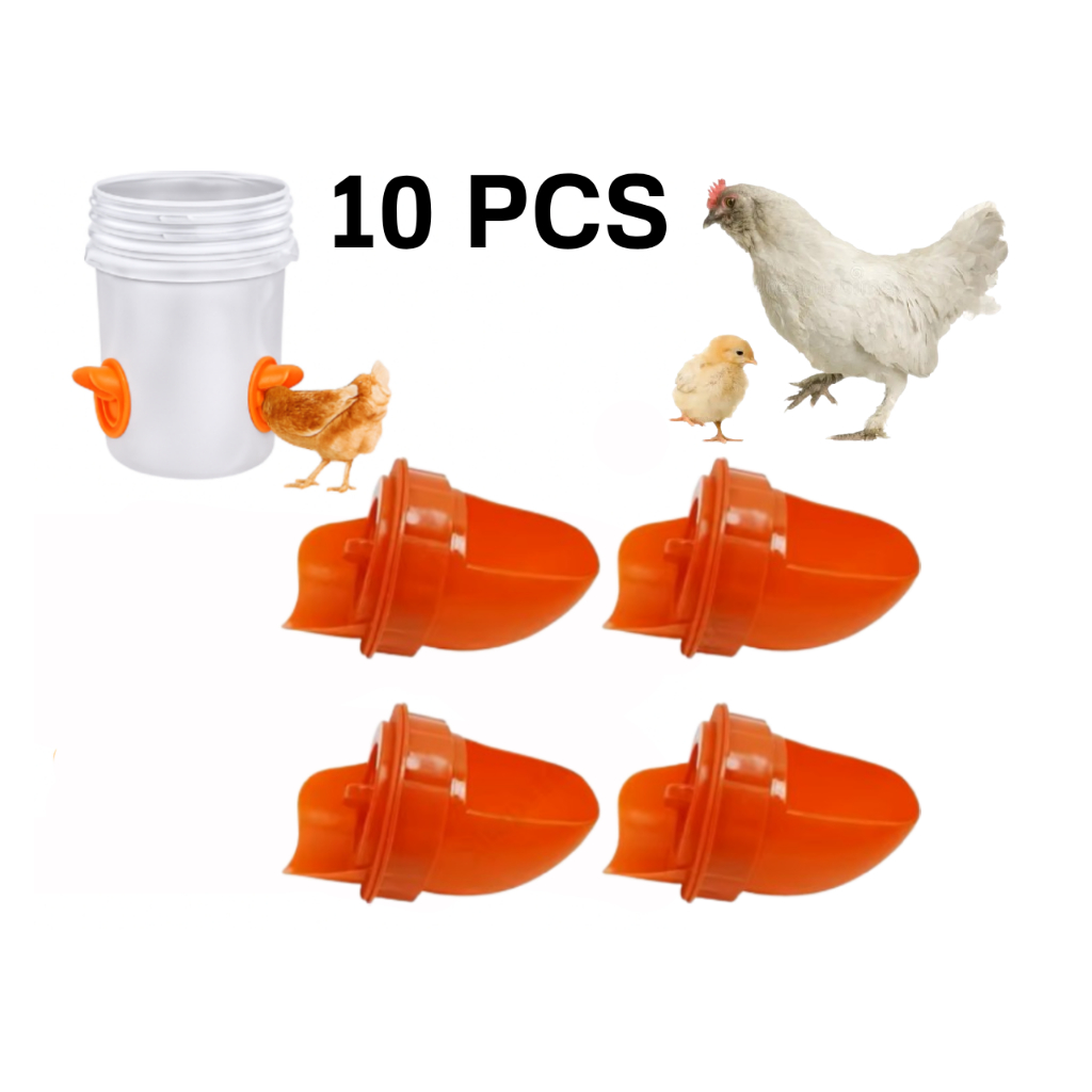 Kit Bico Alimentador Comedouro Automático para Galinhas Aves em Oferta na Shopee