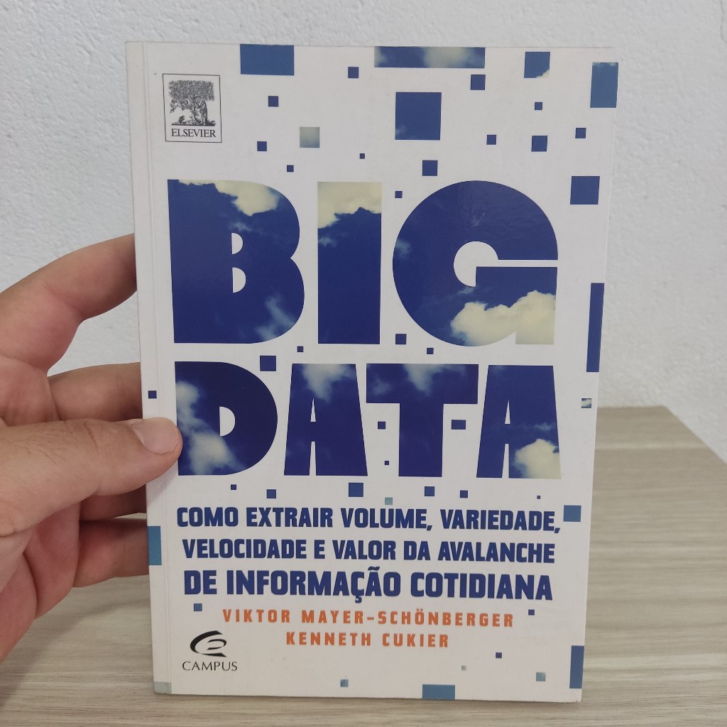 Livro - Big Data, por Viktor Mayer - Schonberger Kenneth Cukier, Usado, em ótimo estado de conservação
