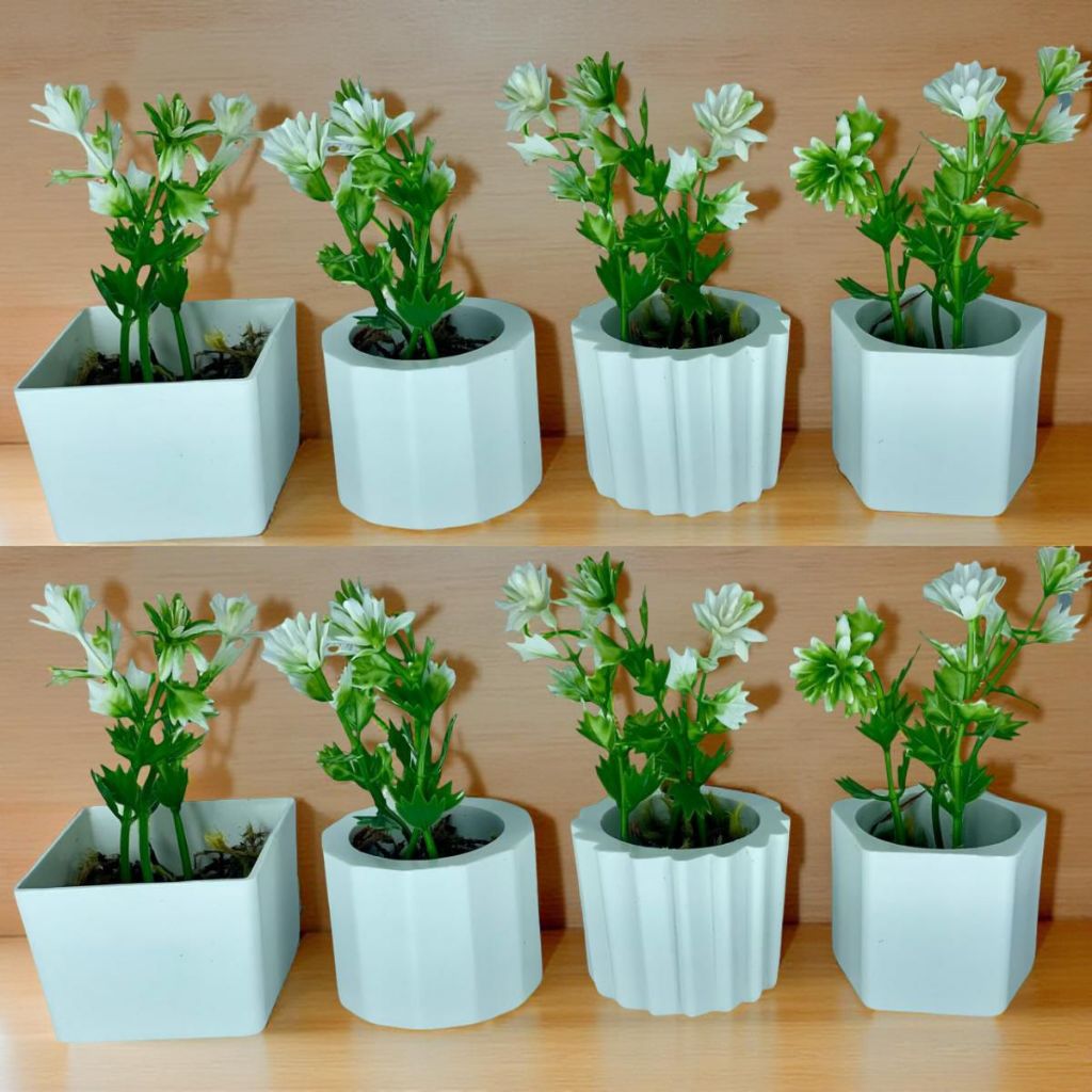 Oferta: Kit 8 Vasinhos Decoração com Plantinhas - 26% OFF
