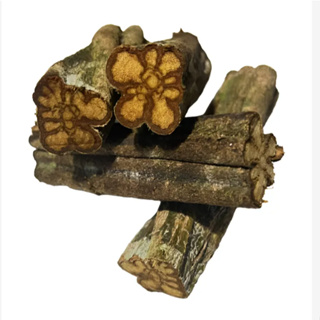 Cipó Artesanato 25g | Colheita Artesanal | Uso Religioso, Artesanal, Cultural e Botânico em Oferta na Shopee