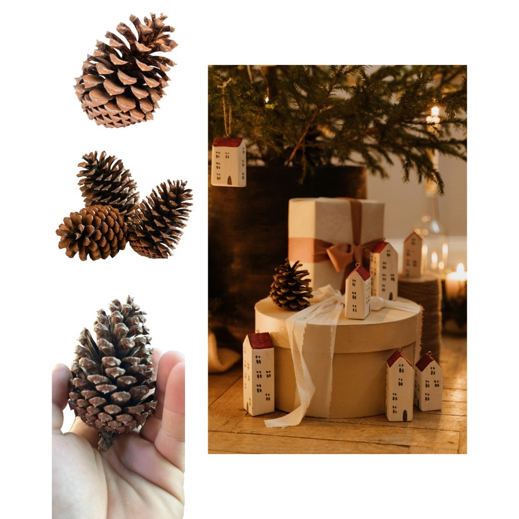 Guirlanda de Flores Secas: Onde Comprar | BuscaProdutos