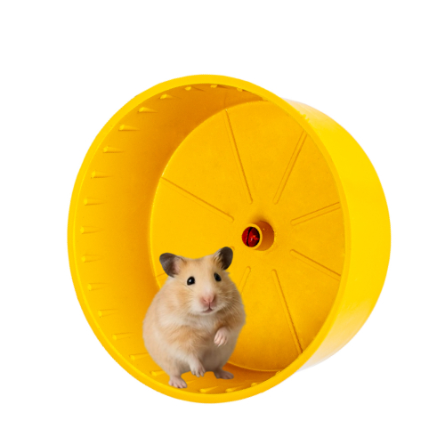 Rodinha de Plástico Para Gaiola de Hamster, Gerbil Topolíno e Hamster Chinês Roda Gira