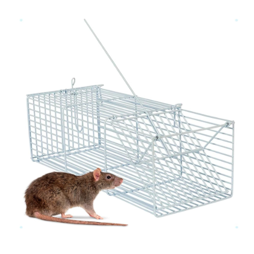 Armadilha para Ratos Grandes: Onde Comprar | BuscaProdutos