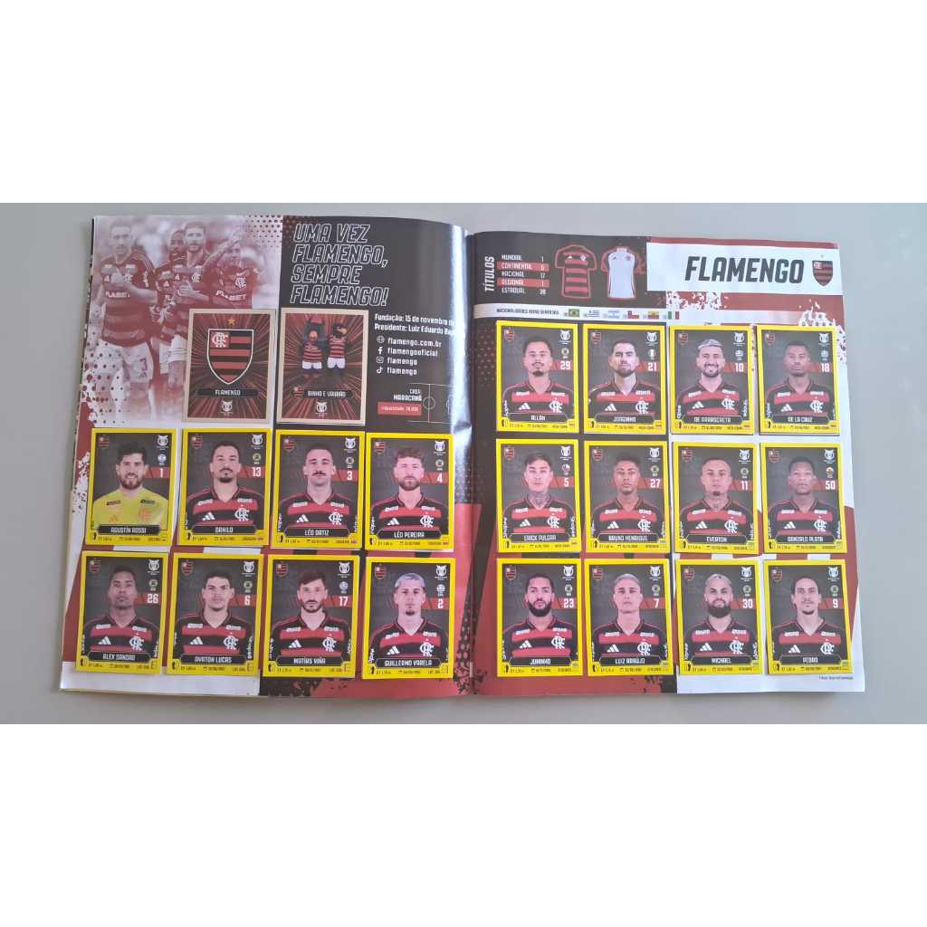 FLAMENGO KIT COM 25 FIGURINHAS CAMPEONATO BRASILEIRO 2025 ORIGINAIS PANINI