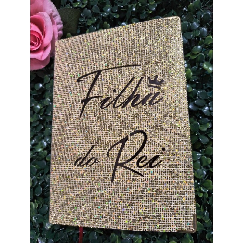 Bíblia Caderno com Harpa: Onde Comprar | BuscaProdutos