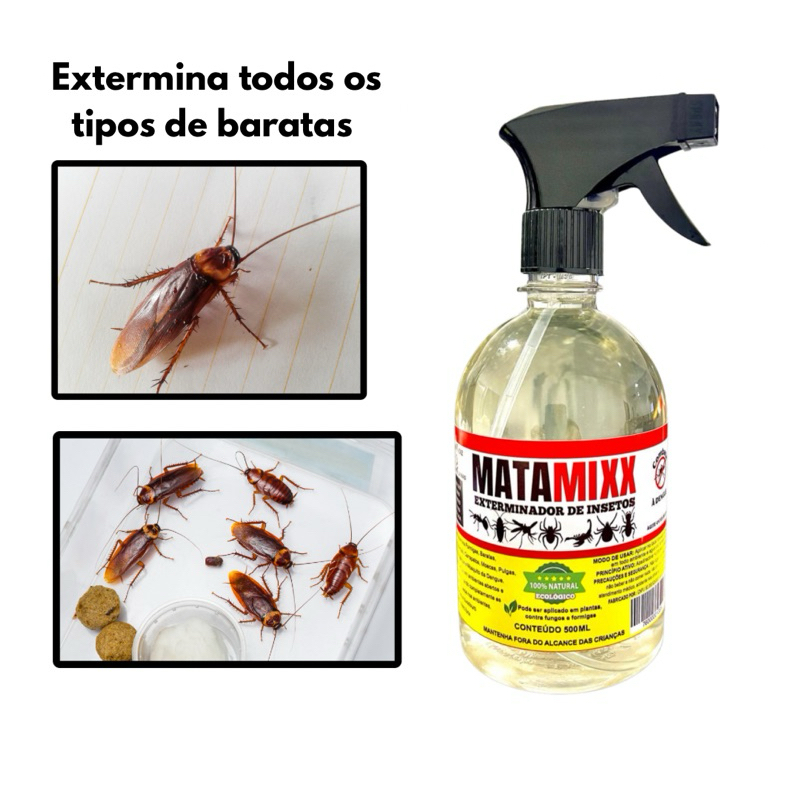 Matar Baratas Francesinhas: Onde Comprar | BuscaProdutos